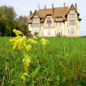 Château de Chambly